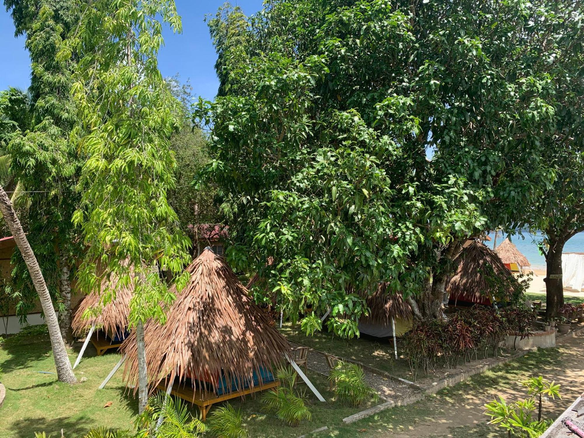 Pangulatan Beach Resort El Nido Oda fotoğraf